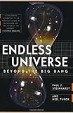 Endless Universe: Beyond The Big Bang by Steinhardt, Paul J., Turok, Neil published by Phoenix (2008)