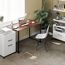 Coleshome 40 Inch Computer Desk, Modern Simple