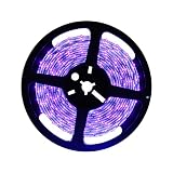 DeepDream Black Light UV Led Strip 16.4Ft/5M Flexible IP65 with 12V Power Supply