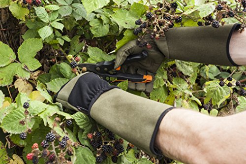 Game of Thorns Garden Glove for Men
