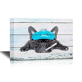 Vet Canvas Wall Art - Sick Dog with Ice Bag on Wood Style Background - Gallery Wrap Modern Home Art | Ready to Hang - 12x18 inches