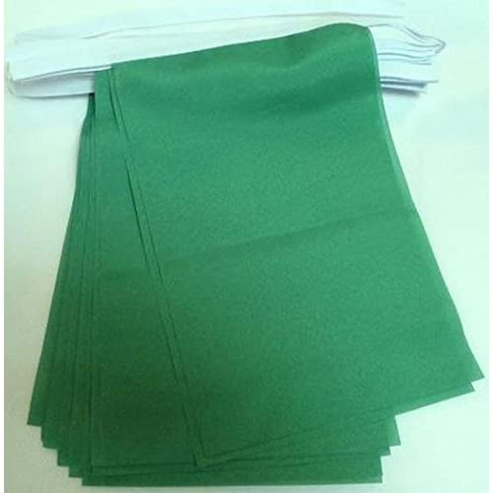 AZ FLAG Plain Green Bunting Flag, 20 Ft Garland 20 Small Green Solid color Flags 8'' x 6'', 100% Polyester String Pennant, 6 meters