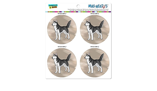Husky siberiano de perro mag-neato es del coche para ...
