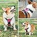 PHOEPET 2019 Upgraded No Pull Dog Harness, Reflective Adjustable Vest, with a Training Handle + 2 Metal Leash Hooks+ 3 Snap Buckles +4 Slide Buckles(XS, Pink)