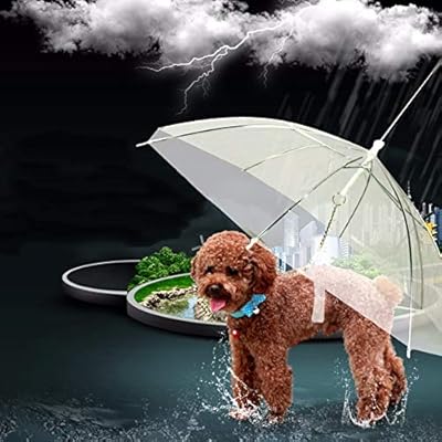 dog lead umbrella