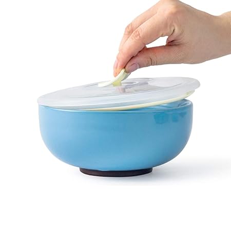 WHWHNA HWH Recipiente de cerámica Fresca, Horno de microondas ...