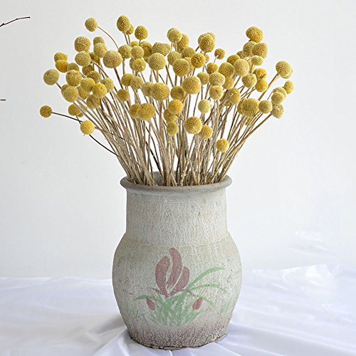 KALOR Dried Flowers Branch Farmhouse Stylet Craspedia Yellow Billy Balls For Home Decor DIY 10 Stems - Thumbnail 5