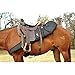 Cashel Rifle Scabbard