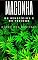 Livro Maconha: Seus benefícios e perigos