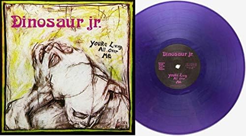 DINOSAUR JR. - Where You Been - Amazon.com Music