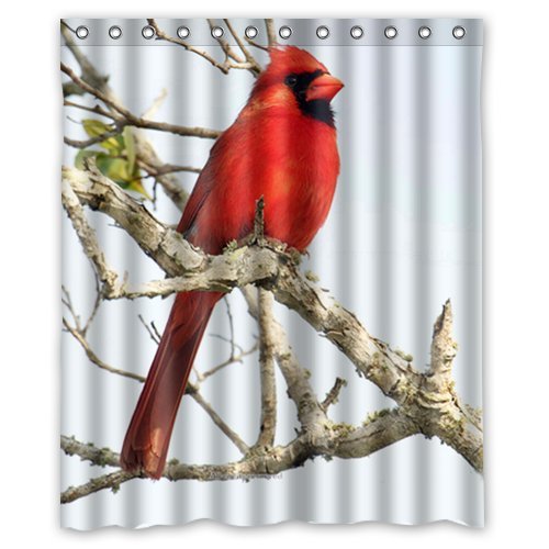 Cardinal Shower Curtains Kritters in the Mailbox Cardinal Shower