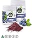 Super Sprout Blueberry Powder - 80 Grams (2.82 Ounces) - Add this freeze dried blueberry powder to your favorite smoothies, desserts and much more to get all of the vitamins and health benefits!