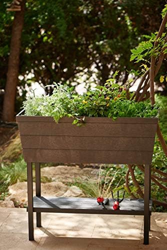 Keter - Mini huerto en casa Urban Bloomer con base para cultivo ...