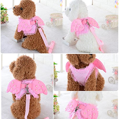 Binmer(TM) Angel Wings Pet Chest Strap Comfort Soft Breathable Dog Harness Pet Vest Collars Rope Dog Chest Strap Leash Set Collar for Small puppy (Pink, S)