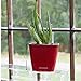 Aquaphoric Self Watering Planter (5”) + Fiber Soil = Foolproof Indoor Home Garden. Decorative Planter Pot for All Plants, Flowers, Herbs, African