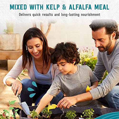 BACK TO THE ROOTS EDIBLES PLANT FOOD – ORGANIC, SUSTAINABLY-MADE GARDEN MADE WITH DOLOMITIC LIMESTONE, MYCORRHIZAE, AND KELP AND ALFALFA MEAL – 1.5 LB PREMIUM BLEND