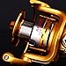 Sougayilang Fishing Reels Spinning Freshwater Saltwater with 5.5:1 Gear Ratio 13+1BB Metal Body Left/right Interchangeable Collapsible Handle Spinning Fishing Reel