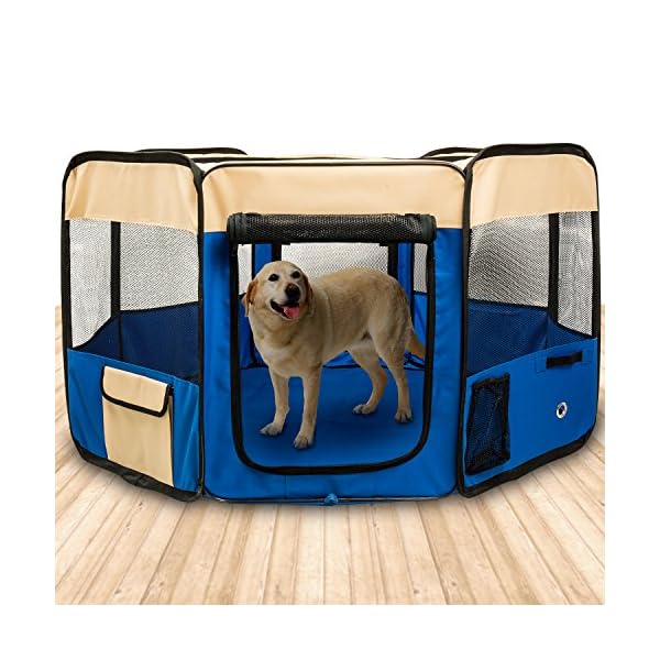BIGWING-Style-Box-per-Cani-Recinzione-per-Cuccioli-Grande-recinto-per-Animali-da-Usare-allInterno-e-allEsterno-Facile-da-Montare-BluXL BIGWING Style Box per Cani Recinzione per Cuccioli Grande recinto per Animali da Usare all'Interno e all'Esterno- Facile…