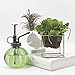 Ebristar Plant Mister, Glass Watering Spray Bottle, 6.5