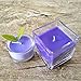 IronBuddy Candle Color Dye Block 24 Colors Soy Wax Dye for Candle Making
