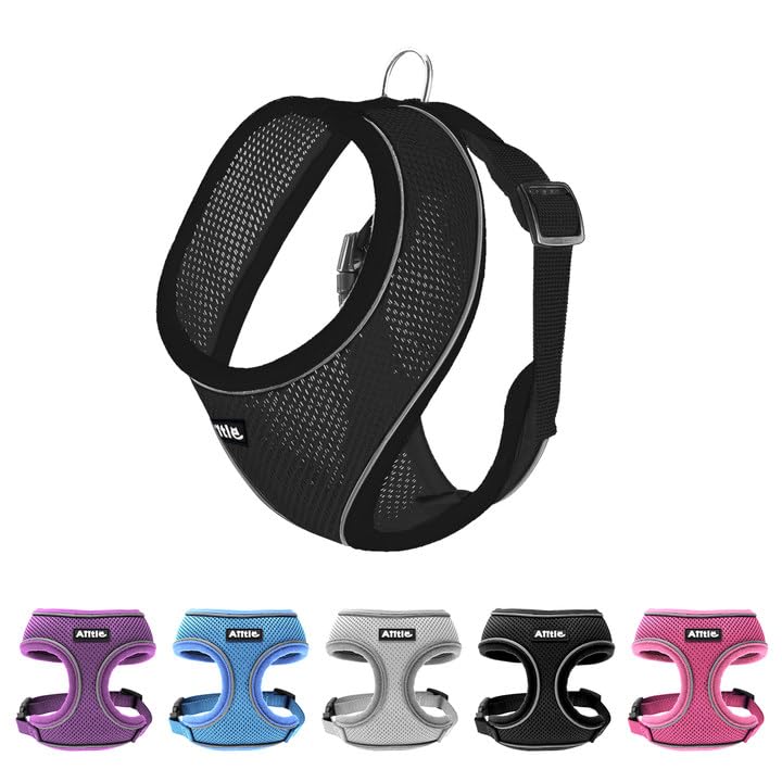 Photo 1 of AIITLE Puppy Dog Harness, Triple-Layer Breathable Mesh, Adjustable Fit & Reflective Design, Choke-Free Over-The-Head Vest for Indoor/Outdoor Use, Perfect for Maltese, Chihuahua (S, Black)