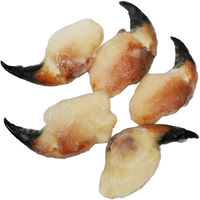 Cooked Crab Claws, Frozen, 295g (2025pcs) Amazon.co.uk Grocery