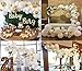White Gold Balloon Garland Arch Kit for Party 16Ft Long Confetti Latex Balloons for Baby Shower Wedding Birthday Graduation Anniversary Party Background Decorations