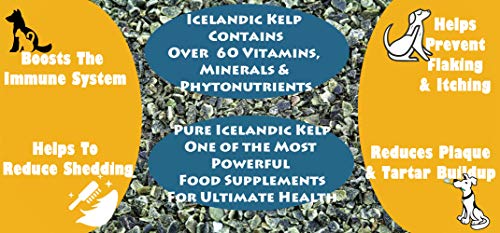 Icelandic Kelp Meal, 5lbs | Pricepulse