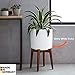 Modern Ceramic White Round Medium Flower Pot 10.5 inch | Las Vegas Model for Indoor Large Planter | Fits Perfectly in 11 inch Mid Century Plant Stands | Cylinder Plant Pots | Large Round Vase