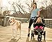 Wag Haus Hands Free Dog Leash & Dog Seatbelt - Bike Dog Leash and Running Dog Leash, Adjustable Belt from 30-52