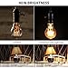 Vintage Edison Bulbs 40W/110V E26 E27 Base A19 Dimmable Antique Style Incandescent Warm White Tungsten Filament Bulb for Home, Restaurant, Coffee Shop, Hotel, Clothing Store Decoration