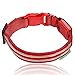 ILLUMISEEN LED Dog Collar USB Rechargeable - Bright & High Visibility Lighted Glow Collar for Pet Night Walking - Weatherproof, in 6 Colors & 6 Sizes (Red Large)