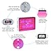 ColoFocus 1000W LED Grow Light, Double Chips Indoor LED Plant Grow Light Kit, Full Specturm for Plants Veg and Flower, Plants (10W Leds 100Pcs)