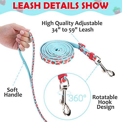 PAWCHIE Cat Harness and Leash Set Escape Proof Adjustable HShaped