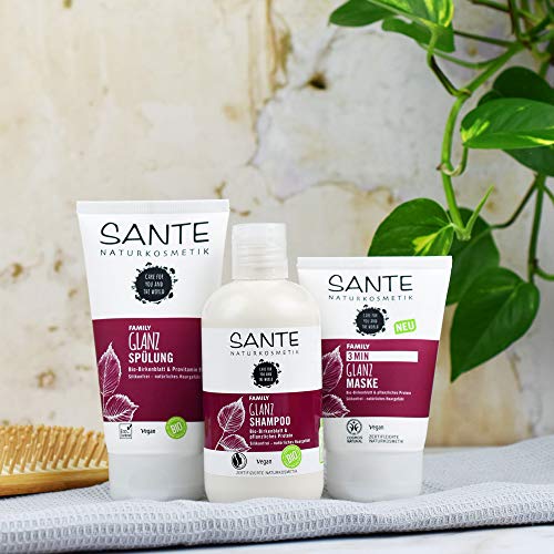 SANTE-Naturkosmetik-3-Min-Glanz-Maske-Bio-Birkenblatt-pflanzliches-Protein-Intensive-Haarkur-Schenkt-Glanz-und-Geschmeidigkeit-Verbesserte-Kmmbarkeit-Vegan-100ml
