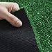 Ottomanson Artificial Grass Turf 3'11