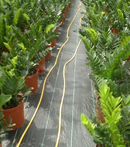 Synturfmats Weed Control Fabric - Heavy Duty Weed Barrier Landscape Fabric Membrane Ground Cover, UV Resistant (3.3'x328')
