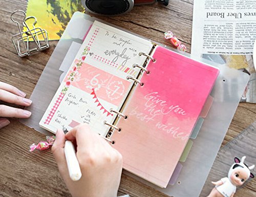 Funcoo 10 Sheets Plastic Planner Index Dividers Category Page Tab Indexing Cards for A5 6-Holes Ring Binders/Planners Notebook/School Stationery (Style-1) - Thumbnail 6