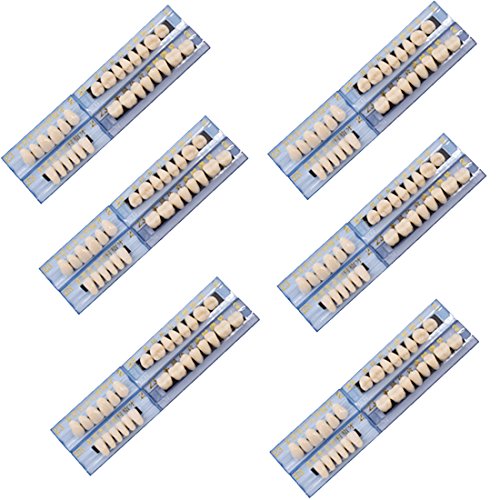 Oral Dentistry 168 Pcs Dental Complete Acrylic Resin Denture False Teeth for Halloween Horror Teeth 6 Sets Synthetic Resin Teeth Denture (1 Box) - Thumbnail 2