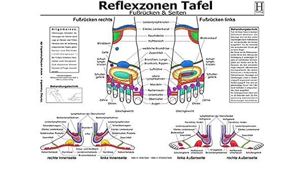 Fussreflexzonen Tafel Fussrucken Seiten Din A3 9783939378280
