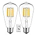 WUHOSTAM 10W LED Edison Bulb 5000K Cool White 1000LM, E26 Medium Base Lamp, ST21 (ST64) Antique Style Shape, 100W Incandescent Replacement, 2 Pack