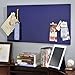 STEELMASTER Magnetic Board with Dry-Erase Pad, Pen and Magnets, 14 x 30 Inches, Blue (270163008)