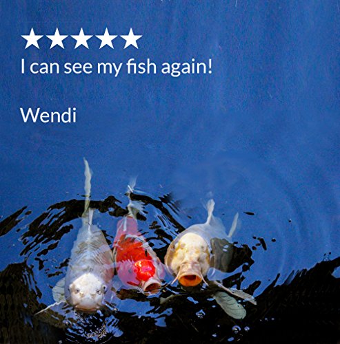 API POND ALGAEFIX Algae Control Solution 1-Gallon Bottle