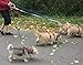 Triple Dog Leash Handle, 3 Way Dog Coupler UTurn Handle with which you can walk 3 dogs on 3 leashes and untangle in seconds. Dolphin Grey.