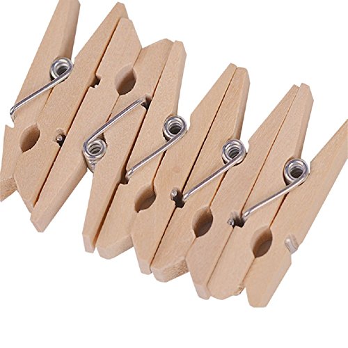 Craft Decore 100 Pcs Mini DIY Wooden Clothespin Photo Paper Pegs Clothespin Cards Craft Clips