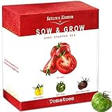 Grow 4 Types of Tomatoes from Seed - Indoor Germination Kit with 4 Packets of Non-GMO Organic Seeds - Sweet Red Tomato, Cherry Tomatoes, Yellow Pear Tomato, Green Zebra Tomato, Soil, Pots & Guide.