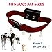 [NEW 2018 VERSION] Bark Collar with UPGRADED Smart Chip - Best Intelligent Dog Shock, Beep Anti-Barking Collar. No Bark Control for Small/Medium/Large Dogs - Stop Barking Safe Humane Device