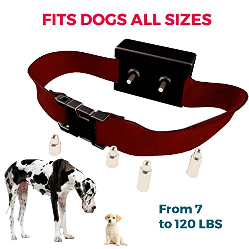 [NEW 2018 VERSION] Bark Collar with UPGRADED Smart Chip - Best Intelligent Dog Shock, Beep Anti-Barking Collar. No Bark Control for Small / Medium/Large Dogs - Stop Barking Safe Humane Device - Thumbnail 4