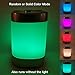 SpaRoom AromaDelight Ultrasonic Essential Oil Diffuser and Fragrance Cool Mister With Remote Control and LED Light Show
