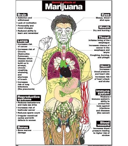 Harmful Effects Of Tobacco Poster